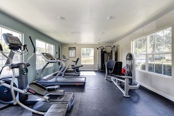 A spacious gym with treadmills, elliptical machines, and a bench press.